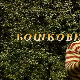 Бошкове приче: Лукави мишови