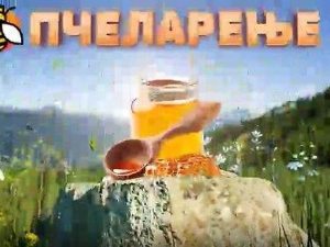 Еко минијатуре: Пчеларење - апитерапија и здравствена култура