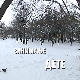 Занимање дете: Костићи