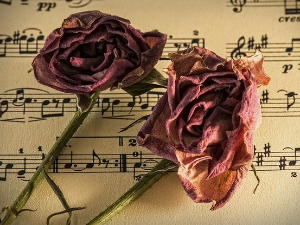 Преглед музичке недеље.