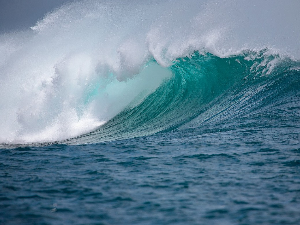 Широм затворених очију – океанима и морима