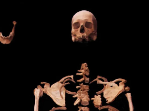 ДНК тест остатака костију баца ново светло на историју древног Египта (Liverpool John Moores University/Nature) ДНК тест остатака костију баца ново светло на историју древног Египта