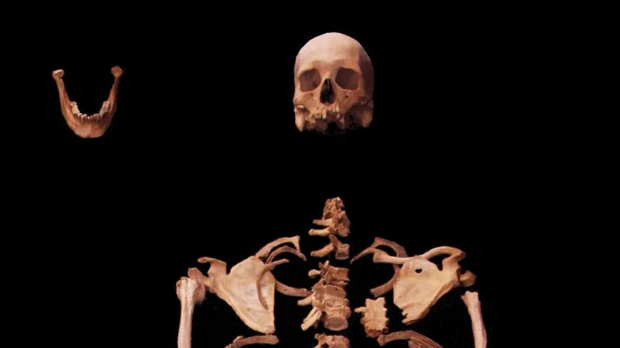 ДНК тест остатака костију баца ново светло на историју древног Египта (Liverpool John Moores University/Nature) ДНК тест остатака костију баца ново светло на историју древног Египта