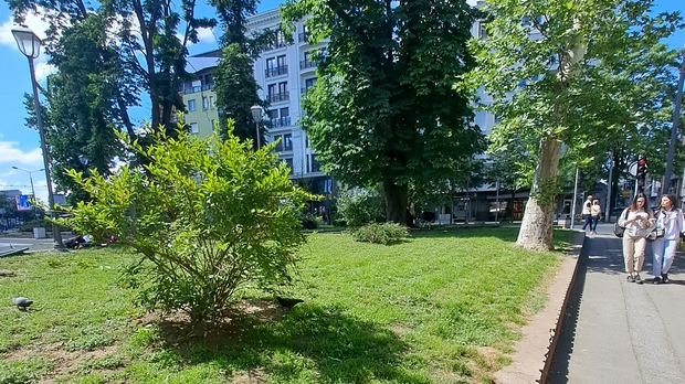 Јутарњи викенд програм