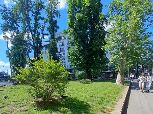 Јутарњи викенд програм