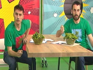 Хемија разбија митове:	Вода