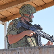Платинасти вук 25