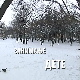 Занимање дете:	Андреј Ђурић