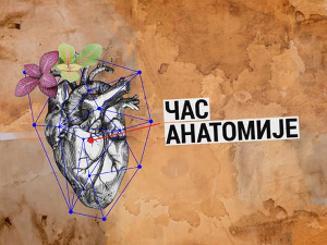 Час анатомије: Културна јавност