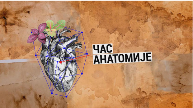 Час анатомије: Културна јавност