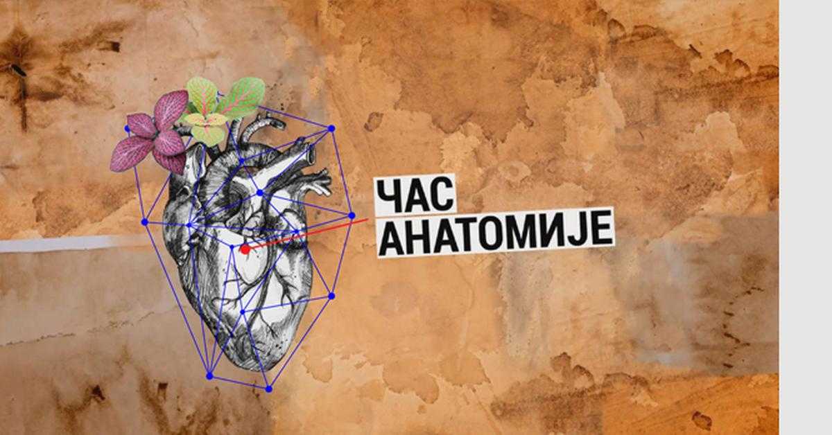 Час анатомије: Културна јавност Час анатомије: Културна јавност