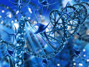 Свет рибонуклеинске киселине