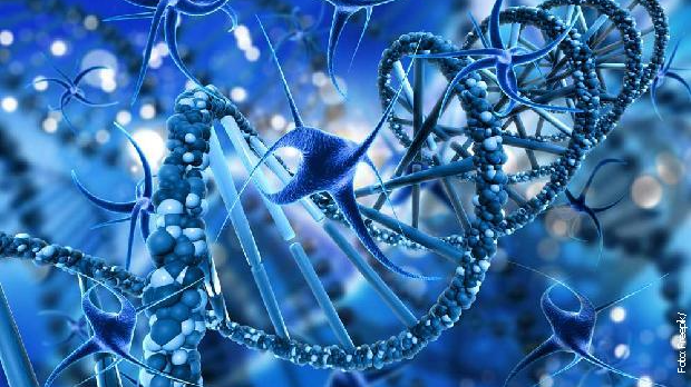 Свет рибонуклеинске киселине