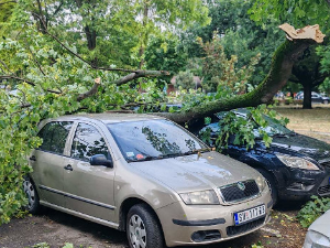 Олујно невреме у Зрењанину, пожари и поломљено дрвеће у Суботици 