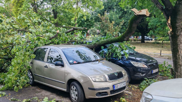Две особе повређене у невремену Новом Саду, олуја у Зрењанину, поломљено дрвеће у Суботици 