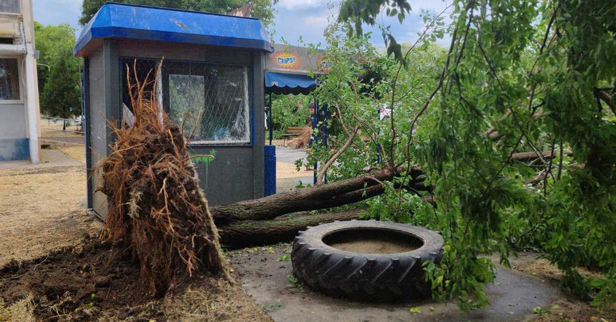 Олујно невреме у Зрењанину, пожари и поломљено дрвеће у Суботици Олујно невреме у Зрењанину, пожари и поломљено дрвеће у Суботици