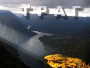 Траг: Храст – сви годови живота