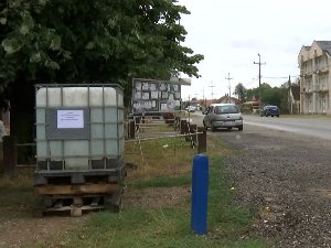 У Црној Бари поново афричка куга свиња, еутаназирано 41 грло