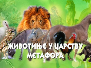 Животиње у царству метафора:	Мачка