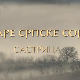 Еко минијатуре/ старе српске сорте-Састрица