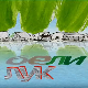 Мој ујак:	Бели лук