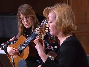 Међународни фестивал гитаре: Ауторско вече Владимира Тошића