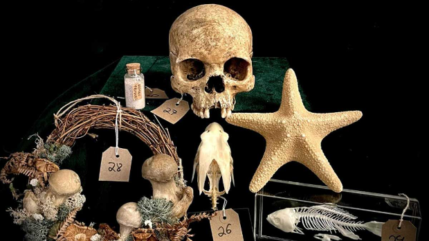 Интересовање за лобање и кости толико да само што нисмо на прагу нове ере „крађе тела“ (Printscreen/Instagram) Интересовање за лобање и кости толико да само што нисмо на прагу нове ере „крађе тела“