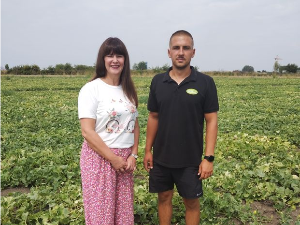 Локално је глобално