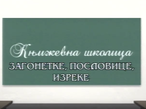 Књижевна школица	Загонетке, пословице, изреке