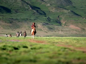 Кина: Кров света, 3–6