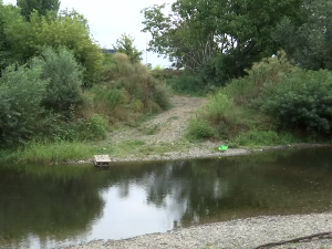 Угинуле животиње у Расини