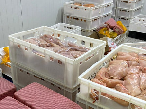 Заплењено 40 тона пилећег меса зараженог салмонелом, ухапшена два мушкарца из Ћићевца