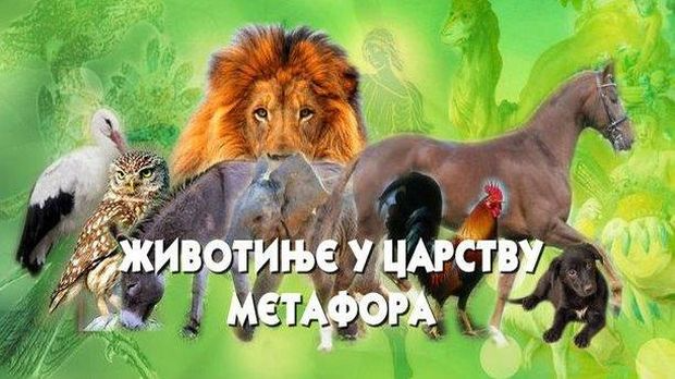 Животиње у царству метафора:	Слон