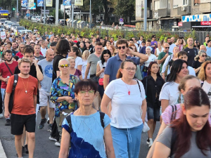 Протестне шетње у Београду, Нишу, Лесковцу и Чачку