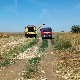 Да ли су произвођачи задовољни откупном ценом сунцокрета и кукуруза?