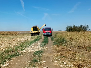Да ли су произвођачи задовољни откупном ценом сунцокрета и кукуруза?