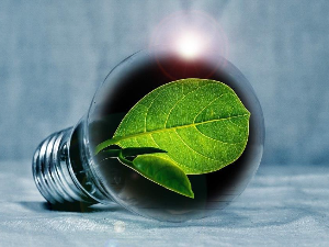 Еду глобал, 263 еп.