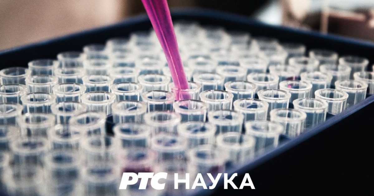 Ја, ми и други: Представа о другом