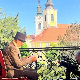 Еко перспективе: Волнијев хербаријум