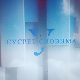 У сусрет сновима: Владимир Станковић