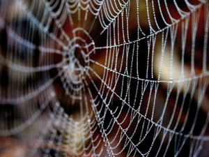 Артур Конан Дојл: Црни Питер