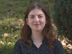 Минијатурни водочувари