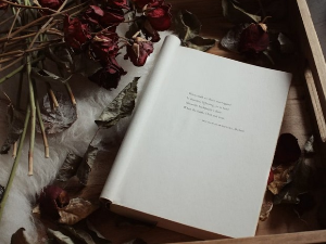 Ђорђе Матић: „О виду“