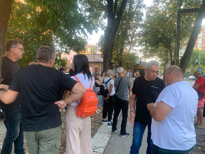 Протест у Краљеву због сече стабала