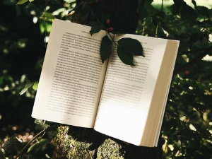 Савремена екокритичка читања