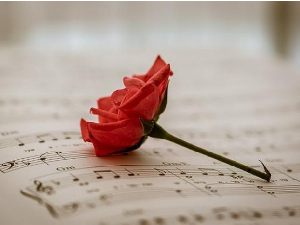 Музика за фагот 