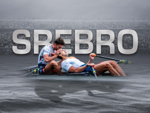 Сребро златног сјаја