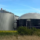 Улога биогаса и биомасе у енергетској транзицији Србије
