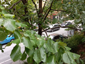 Облачно, местимично са кишом – температура до 23 степена