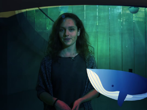 Тајне људског тела: Нервни систем